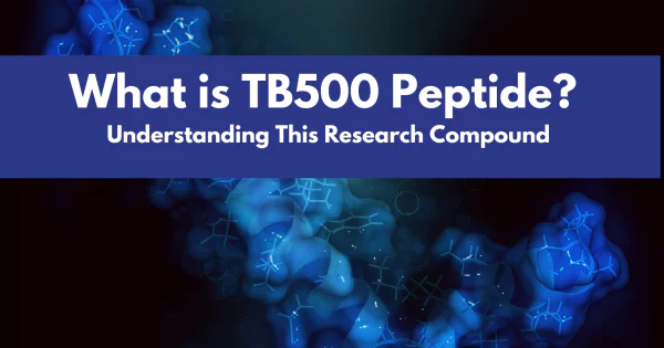 what-is-tb500-peptide-your-complete-guide