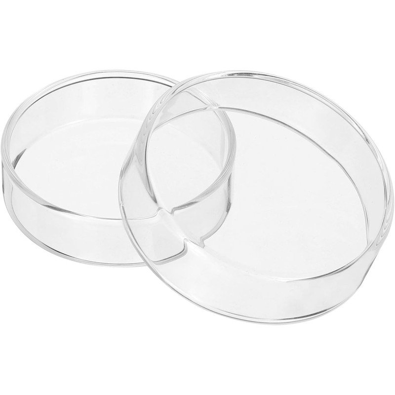 60mm Borosilicate Glass Petri Dish with Lid (Single)